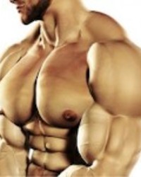 Robert Greene Muscle