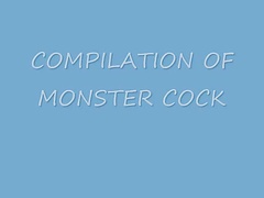 COMPILATION OF MONSTER COCK