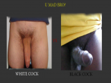 White Dick Versus Black Dick