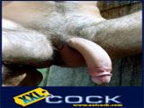 XXL - Cock