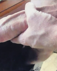photo-thumb