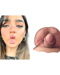 album-cover
