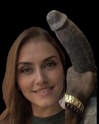 album-cover