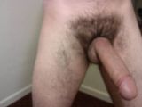 stevenishung's Avatar