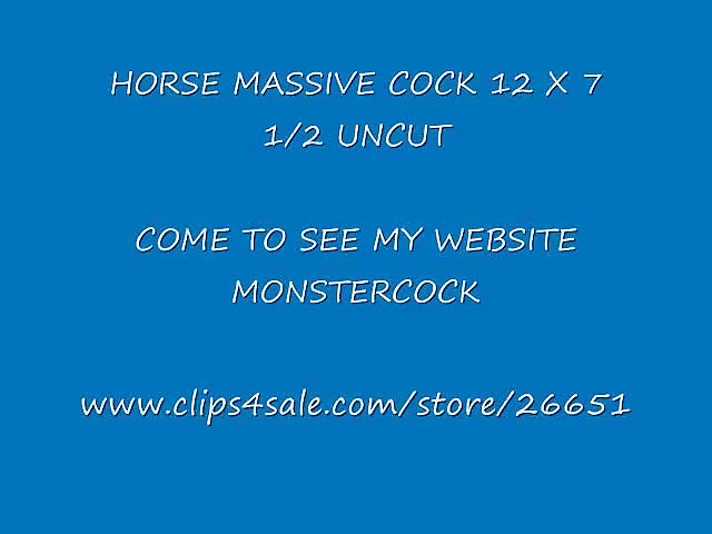 HORSE MASSIVE COCK 12 INCH BY 7 AROUND