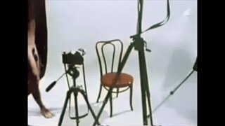 THE BEAUTY OF BIG COCKS 37