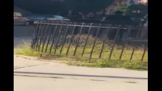 Caught Beating His Dick Off  Walking Down The Block