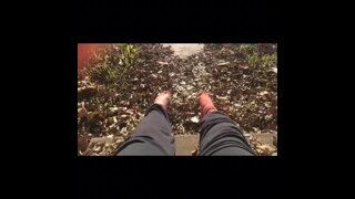 Massive softie in public