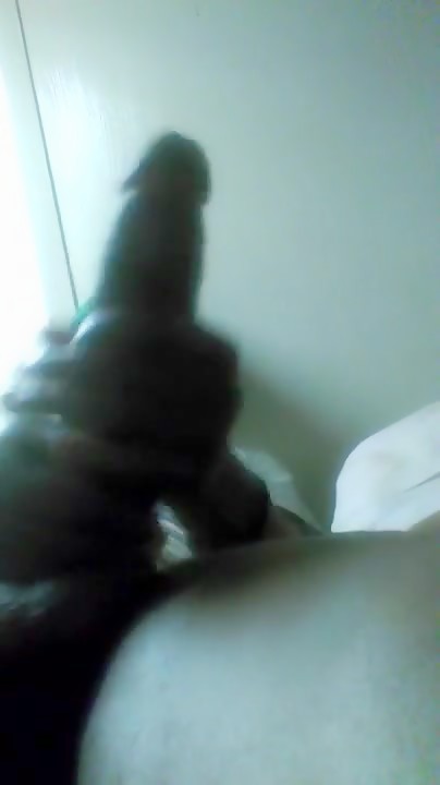 Vonni the very last (for today)