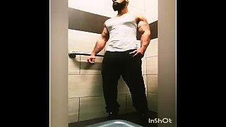 donkey dick wants to play