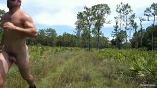 LARGE TIMBER IN THE WOOD'S