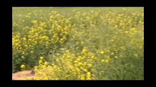 Fucking  Trade  Outdoors