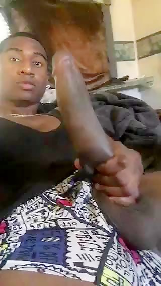 Cock Stars - Johnnnyboy