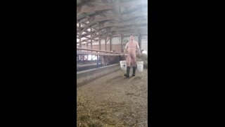 Farmer's big cock 1