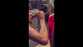 sucking horse hung until explodes