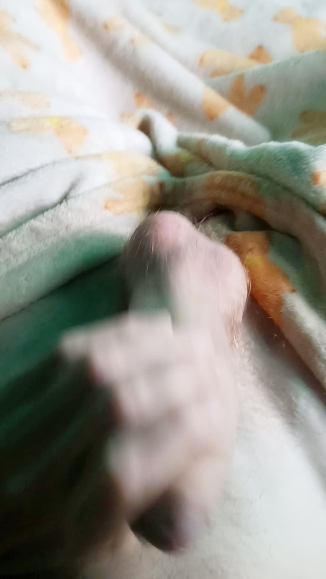 Thumb 18