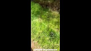 ReddieXXL on TradesManCock !!!!!