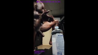 Thumb 9