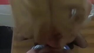 Thumb 9