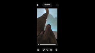 Thumb 10