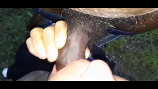I like blowjob black cock